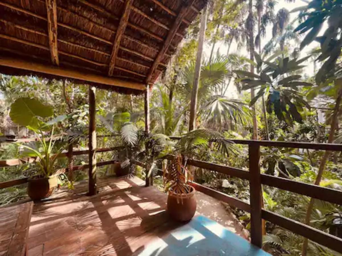 Hotel Dos Ceibas Tulum - Massage & Yoga Inclusive Exterior foto